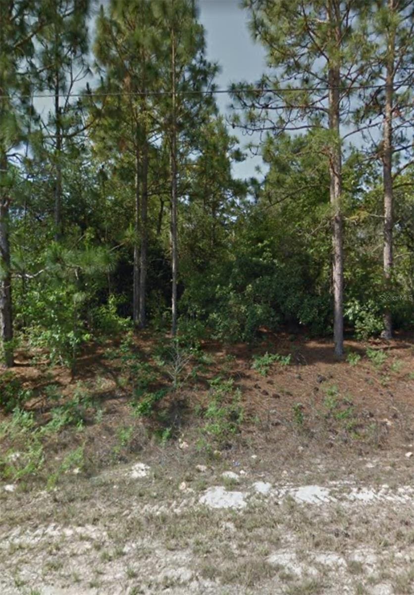 3238 W Camilo Dr, Citrus Springs, FL 34433 - photo 3