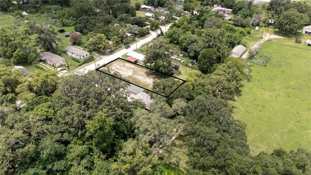 37325 Rose Ave, Dade City, FL 33523 - photo 4