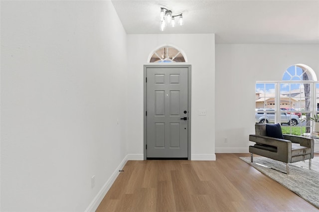 1800 Loch Haven Ct, Trinity, FL 34655 - foyer entrance with light wood-style floors and plenty of natural light