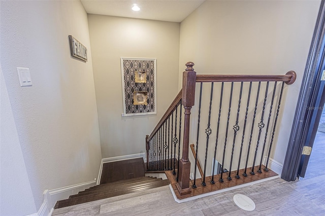 19501 Whispering Brook Dr, Tampa, FL 33647 - photo 25