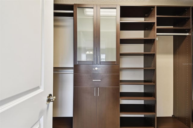 4544 Vermillion Sky Dr, Wesley Chapel, FL 33544 - view of closet