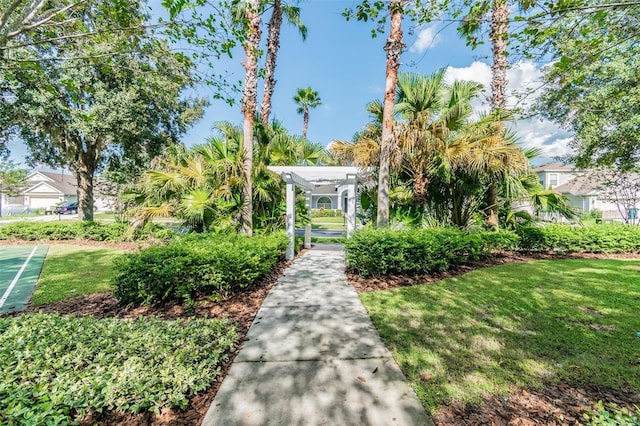 4544 Vermillion Sky Dr, Wesley Chapel, FL 33544 - view of home's community featuring a lawn