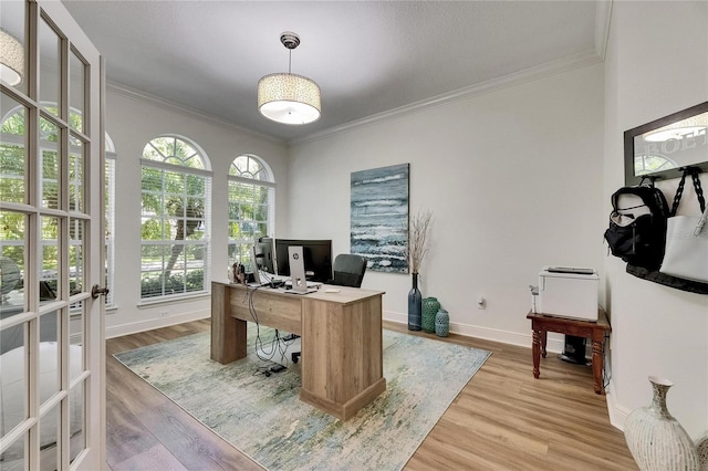 5804 Terncrest Dr, Lithia, FL 33547 - office area with ornamental molding and light wood-type flooring