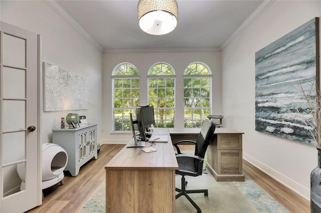 5804 Terncrest Dr, Lithia, FL 33547 - office space with crown molding and light wood finished floors