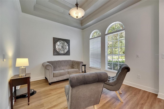 5804 Terncrest Dr, Lithia, FL 33547 - living area featuring a tray ceiling, light wood finished floors, and crown molding
