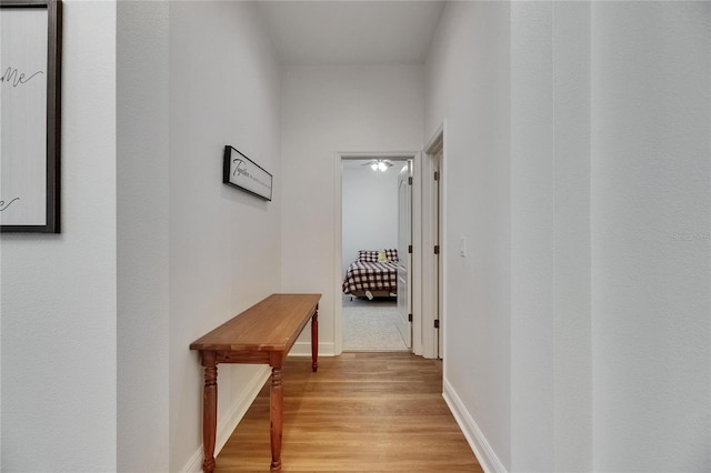 5804 Terncrest Dr, Lithia, FL 33547 - hall featuring light wood finished floors and baseboards