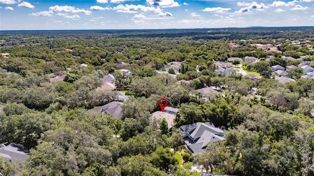 5804 Terncrest Dr, Lithia, FL 33547 - aerial view of residential area with a heavily wooded area