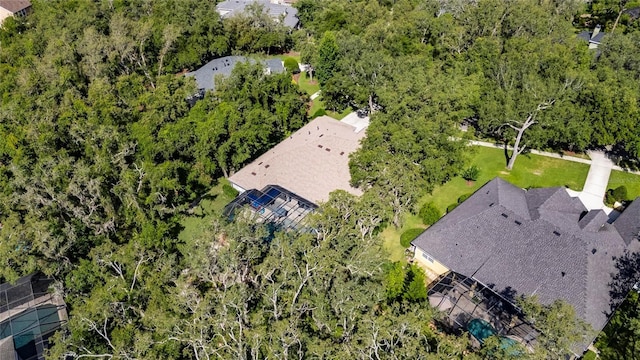 5804 Terncrest Dr, Lithia, FL 33547 - aerial view