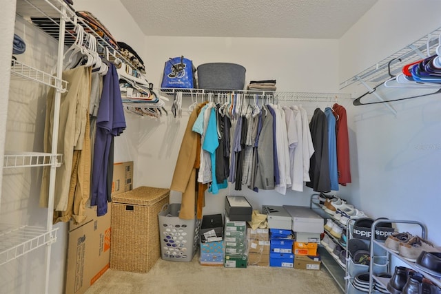 11438 Ivy Flower Loop, Riverview, FL 33578 - spacious closet featuring carpet floors