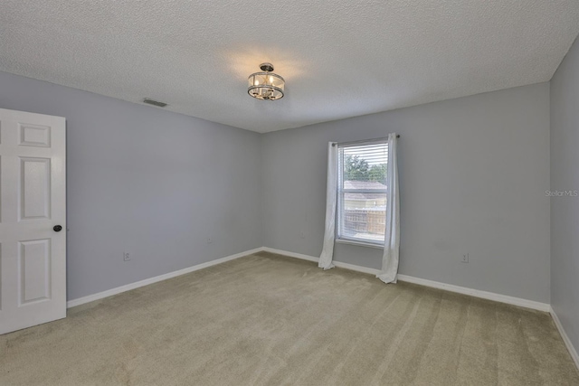 11438 Ivy Flower Loop, Riverview, FL 33578 - unfurnished room with carpet and a textured ceiling