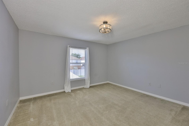 11438 Ivy Flower Loop, Riverview, FL 33578 - spare room with light colored carpet and a textured ceiling