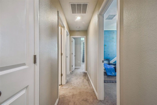 9440 Lemon Drop Loop, Sun City Center, FL 33573 - photo 39