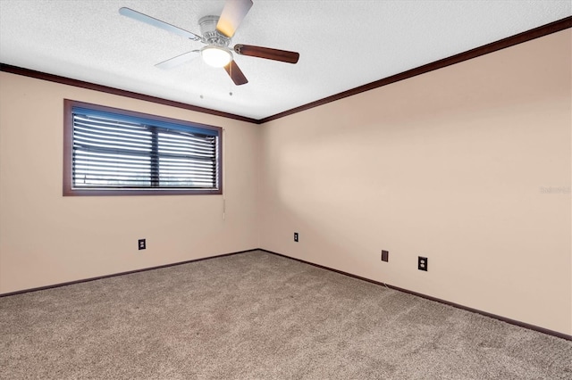 8198 Terrace Garden Dr Unit 511, Saint Petersburg, FL 33709 - photo 26