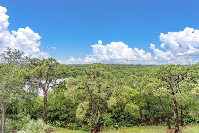 8198 Terrace Garden Dr Unit 511, Saint Petersburg, FL 33709 - photo 37