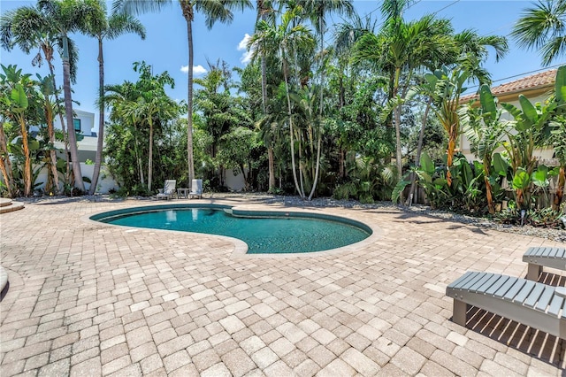 555 21st Ave NE, Saint Petersburg, FL 33704 - swimming pool with a patio area and a fenced backyard