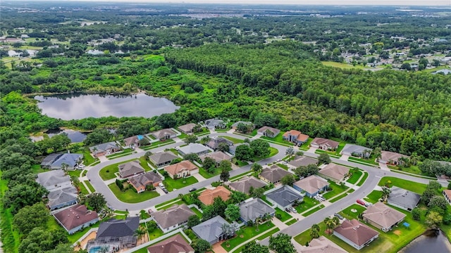 3003 Bay Laurel, Kissimmee, FL 34744 - photo 41