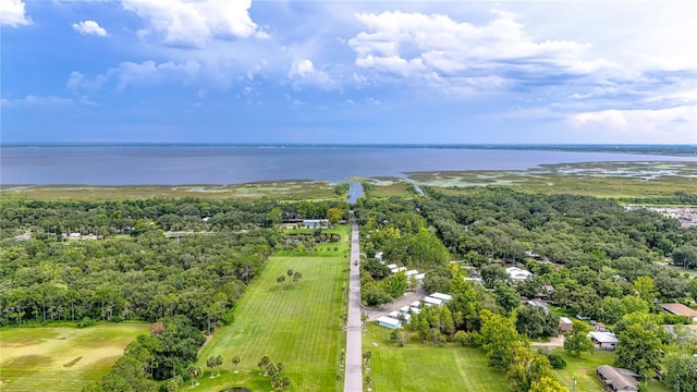3003 Bay Laurel, Kissimmee, FL 34744 - photo 47