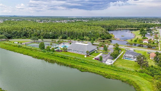 3003 Bay Laurel, Kissimmee, FL 34744 - photo 49