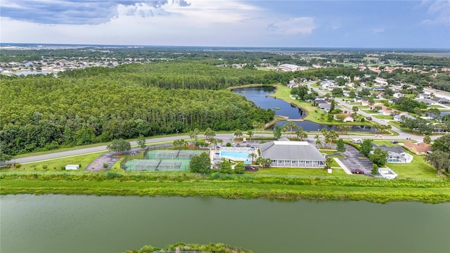 3003 Bay Laurel, Kissimmee, FL 34744 - photo 52