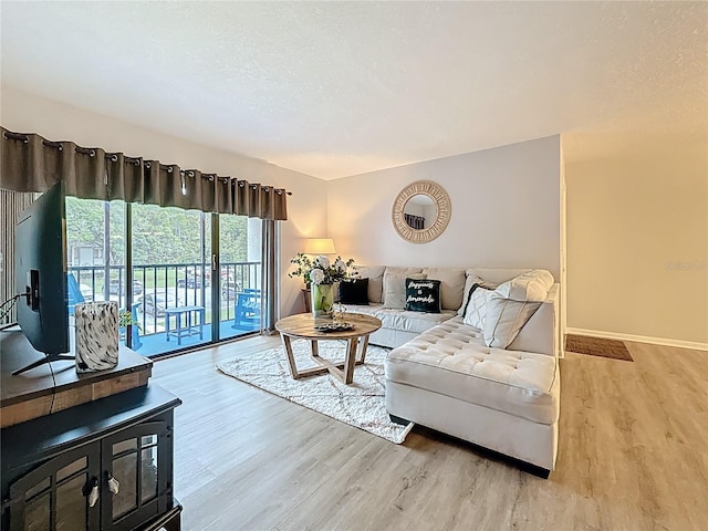 1207 Pine Ridge Cir W Unit H2, Tarpon Springs, FL 34688 - living area featuring wood finished floors and a wood stove