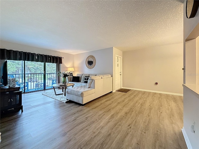 1207 Pine Ridge Cir W Unit H2, Tarpon Springs, FL 34688 - living room featuring wood finished floors and a textured ceiling