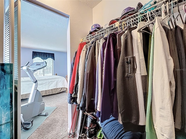 1207 Pine Ridge Cir W Unit H2, Tarpon Springs, FL 34688 - spacious closet featuring carpet flooring