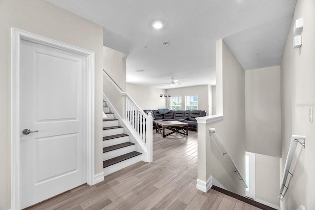 5351 Bridge St Unit 16, Tampa, FL 33611 - photo 12