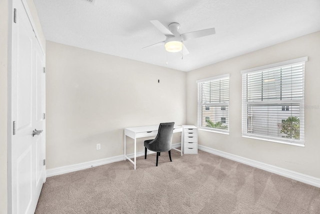 5351 Bridge St Unit 16, Tampa, FL 33611 - photo 22