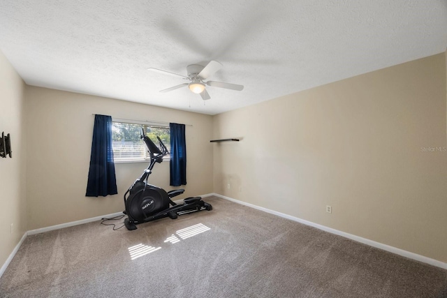 512 Crystal Grove Blvd, Lutz, FL 33548 - photo 37