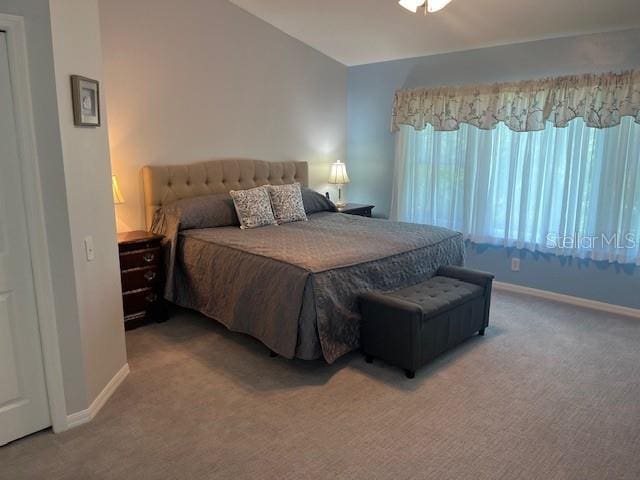 3665 Country Pointe Pl, Palm Harbor, FL 34684 - carpeted bedroom with baseboards