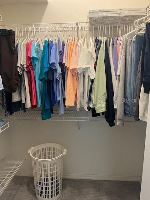 3665 Country Pointe Pl, Palm Harbor, FL 34684 - view of walk in closet