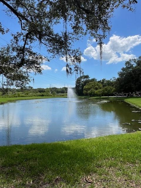 3665 Country Pointe Pl, Palm Harbor, FL 34684 - water view