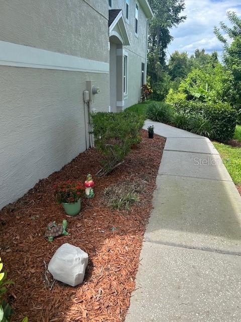3665 Country Pointe Pl, Palm Harbor, FL 34684 - view of property exterior with stucco siding