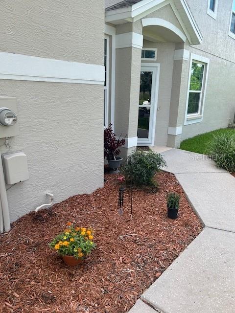 3665 Country Pointe Pl, Palm Harbor, FL 34684 - entrance to property featuring stucco siding