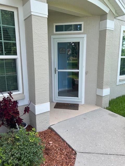 3665 Country Pointe Pl, Palm Harbor, FL 34684 - entrance to property with stucco siding