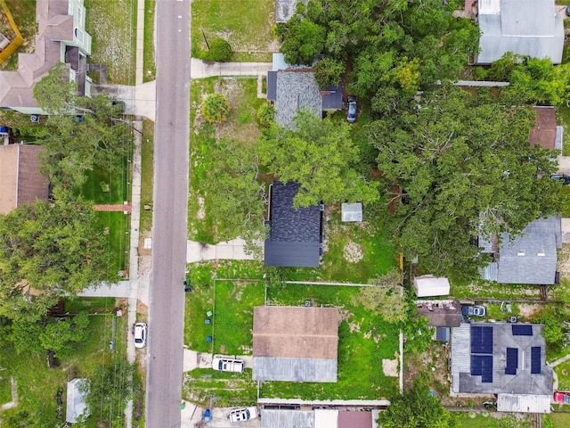 4220 E Regnas Ave, Tampa, FL 33617 - photo 46