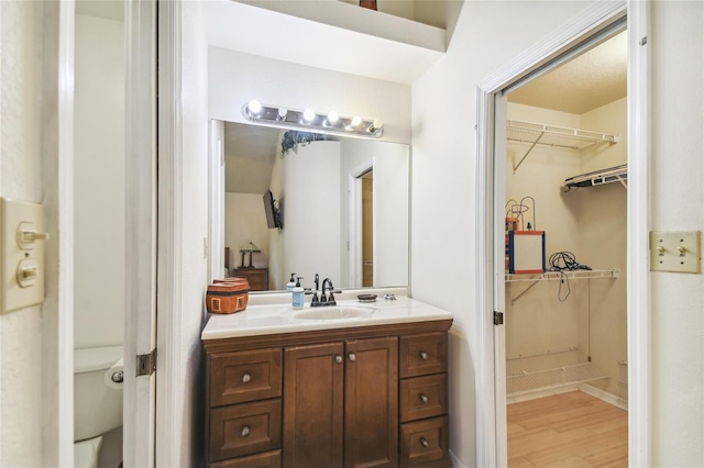 5908 Mohr Rd, Tampa, FL 33615 - bathroom featuring wood finished floors, vanity, and a spacious closet