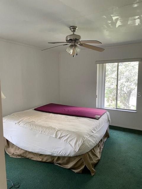 8636 Tahoe Ct Unit 13, Tampa, FL 33614 - bedroom with carpet and a ceiling fan