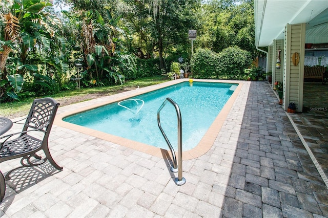 11945 Darwin Ave, New Port Richey, FL 34654 - outdoor pool featuring a patio area
