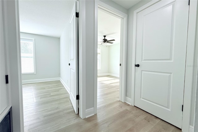 7909 Woodgrove Cir, Tampa, FL 33615 - photo 20