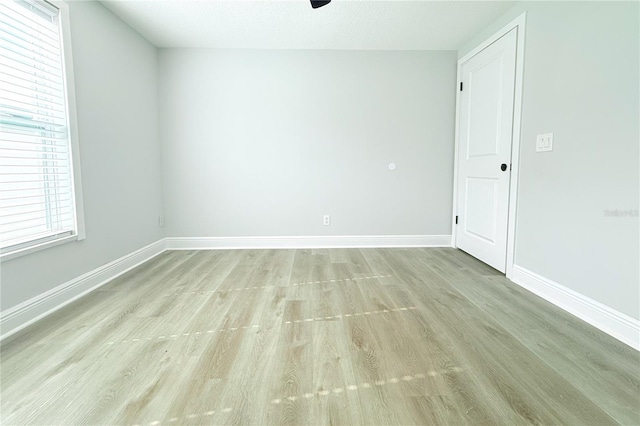 7909 Woodgrove Cir, Tampa, FL 33615 - photo 21