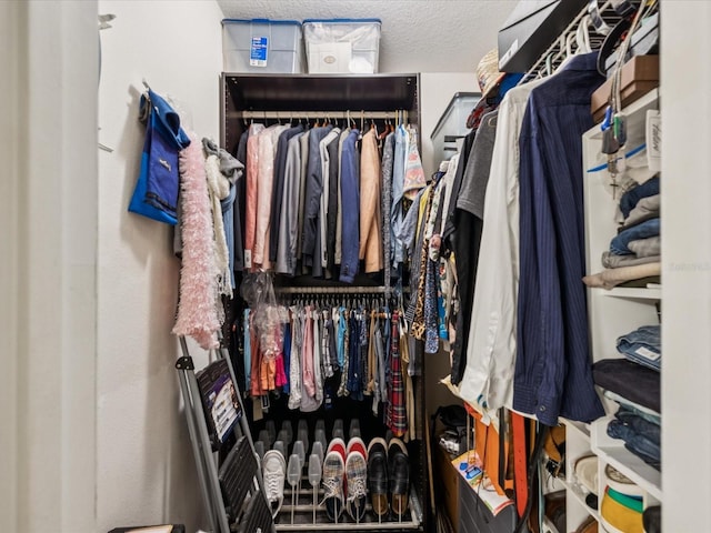 2010 E Palm Ave Unit 14303, Tampa, FL 33605 - view of walk in closet