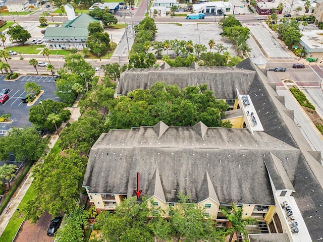 2010 E Palm Ave Unit 14303, Tampa, FL 33605 - aerial perspective of suburban area
