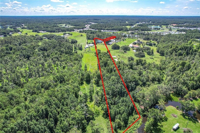 10222 Rockridge Rd, Lakeland, FL 33810 - photo 3