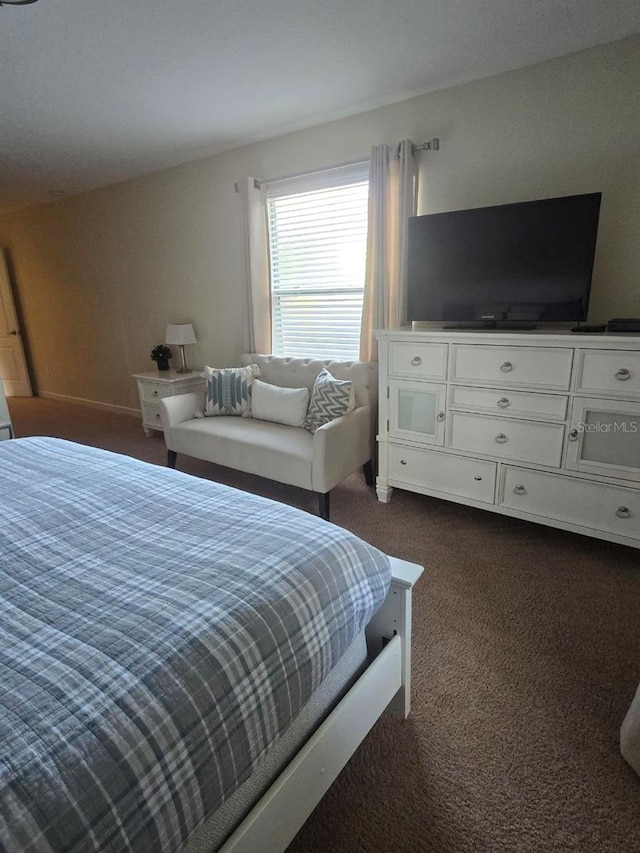 8923 Cuban Palm Rd, Kissimmee, FL 34747 - bedroom featuring dark colored carpet