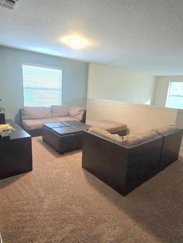 8923 Cuban Palm Rd, Kissimmee, FL 34747 - living room with carpet floors and a textured ceiling