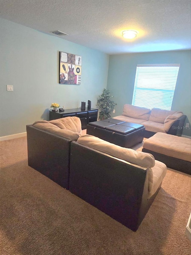 8923 Cuban Palm Rd, Kissimmee, FL 34747 - carpeted living room with a textured ceiling