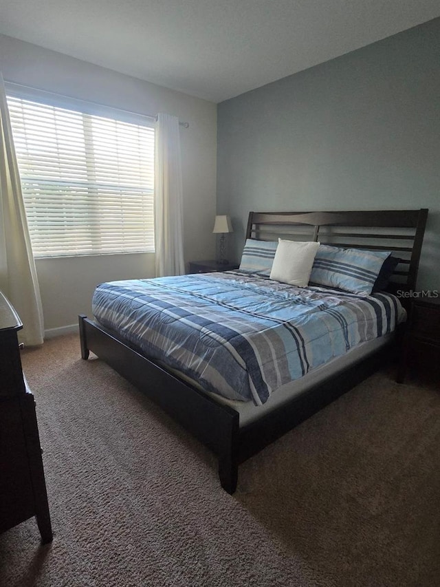 8923 Cuban Palm Rd, Kissimmee, FL 34747 - photo 23