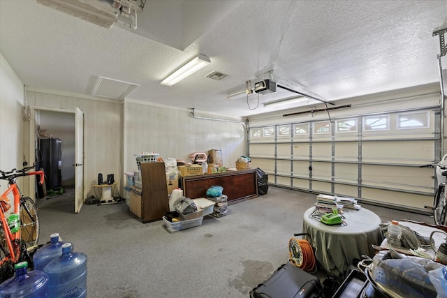 27826 Sora Blvd, Wesley Chapel, FL 33544 - garage with water heater and a garage door opener