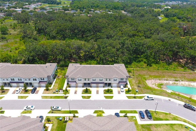 30798 Veridian Way, Wesley Chapel, FL 33543 - photo 38
